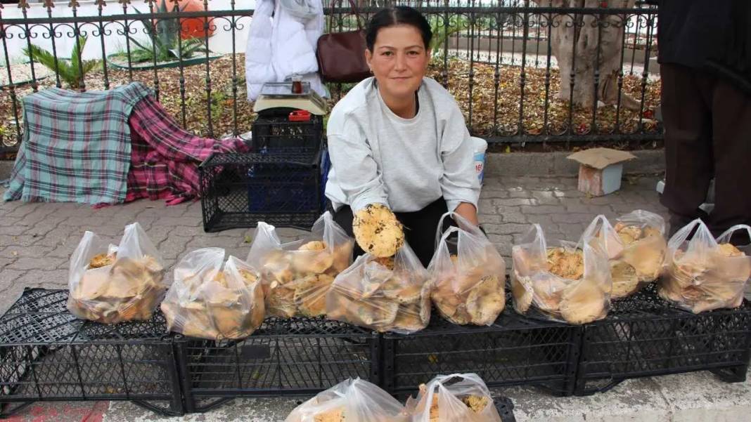 Kumluca’nın Altın Mantarı Kanlıca Yörede Geçim Kapısı Oldu 6